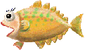 fish03.gif