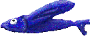 fish04.gif