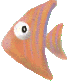 fish05.gif